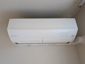 凛 A0102号-11