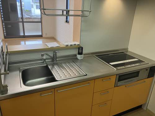 ディアス・パルモ一色 A0002号-2