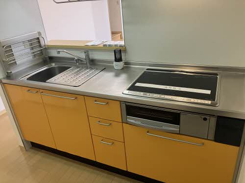 ディアス・パルモ一色 A0002号-6