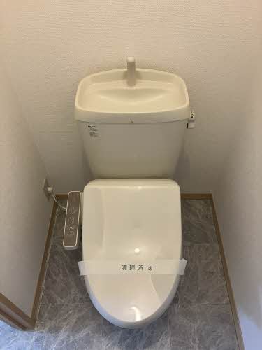 ディアス・パルモ一色 A0002号-14