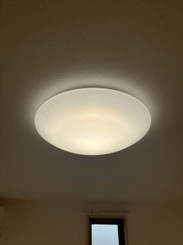 ディアス・パルモ一色 A0002号-15