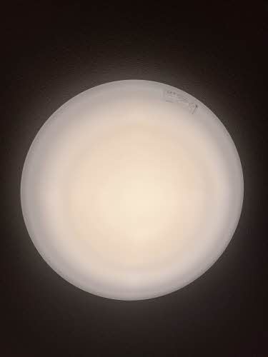 プランドール凛 A棟 A0202号-13