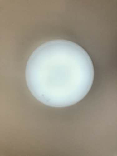 メゾン・フィオレンテ A0201号-13