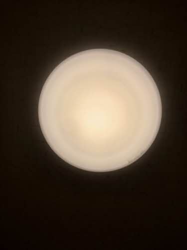 エターナル・グリーンⅠ A0205号-15