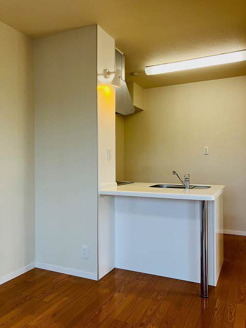 シャーメゾン白樺 A0201号-3