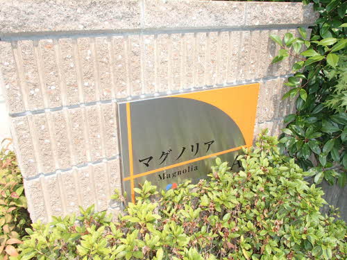 マグノリア　Ｂ B0101号-11