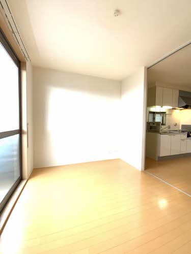 プラシス　弐番館 B0203号-11