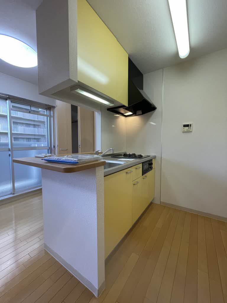 Ｃ．Ｃ．ＣＯＵＲＴ五日市駅前 A0302号-6