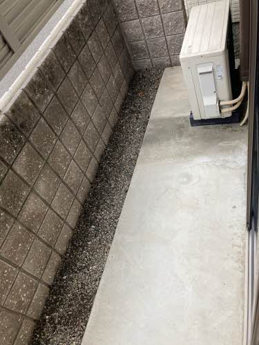 シャーメゾン小泉　Ｂ棟 B0107号-8