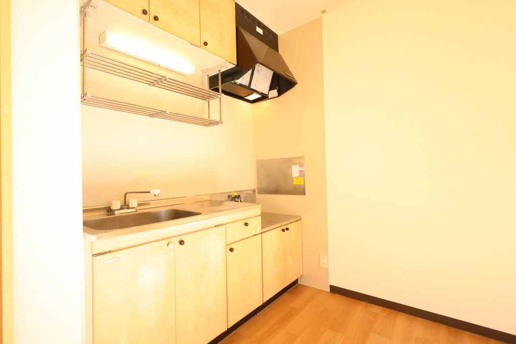 ソフィアＭ　Ⅰ A0102号-5