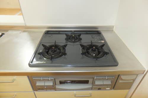 パールハイツ E棟 E0101号-10