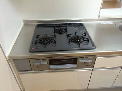 ドリームフォレストＳ A0202号-12