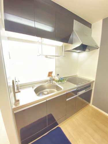 ハンプトンコート 303号-3