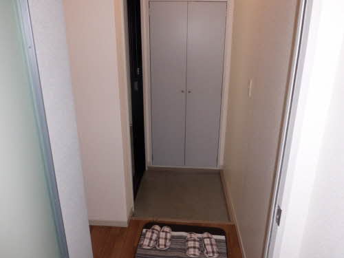 ディアスTANAKA C棟 A0202号-3