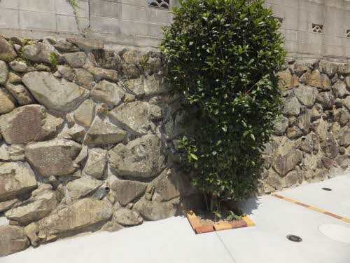 グリーンヒルズ勝田 A0102号-11