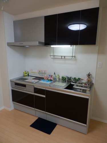 リラ・ショーカ 0105号-7