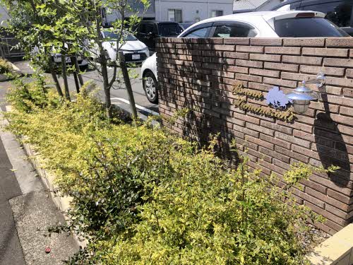 ブルンはなみずき A0101号-2