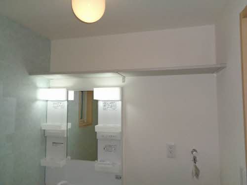 Ｂｉｒｄｉｅ２２ B0101号-11