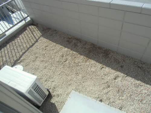 カメリア江の内 A0101号-6