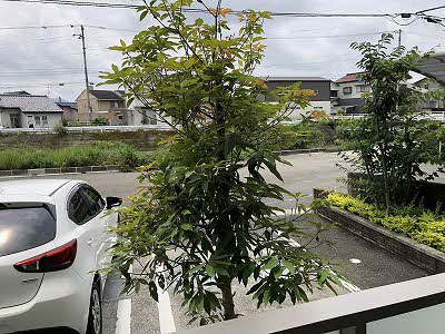 シャーメゾン初月Ⅱ　Ｂ棟 B0207号-14