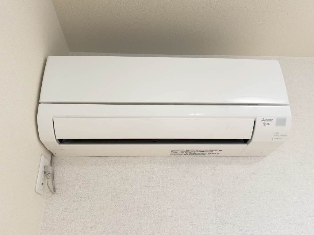 パーシモン A0205号-11