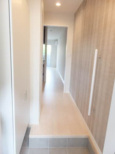 Ｐｅｐｐｅｒｇｒａｓｓ A0101号-2