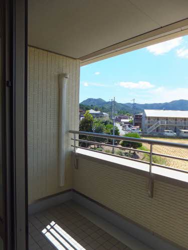 シャーメゾン　ウイングスター 0201号-12