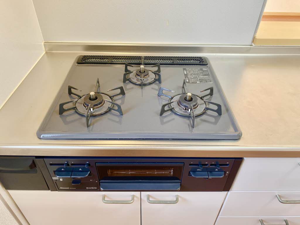 アネーロ A棟 A0201号-4