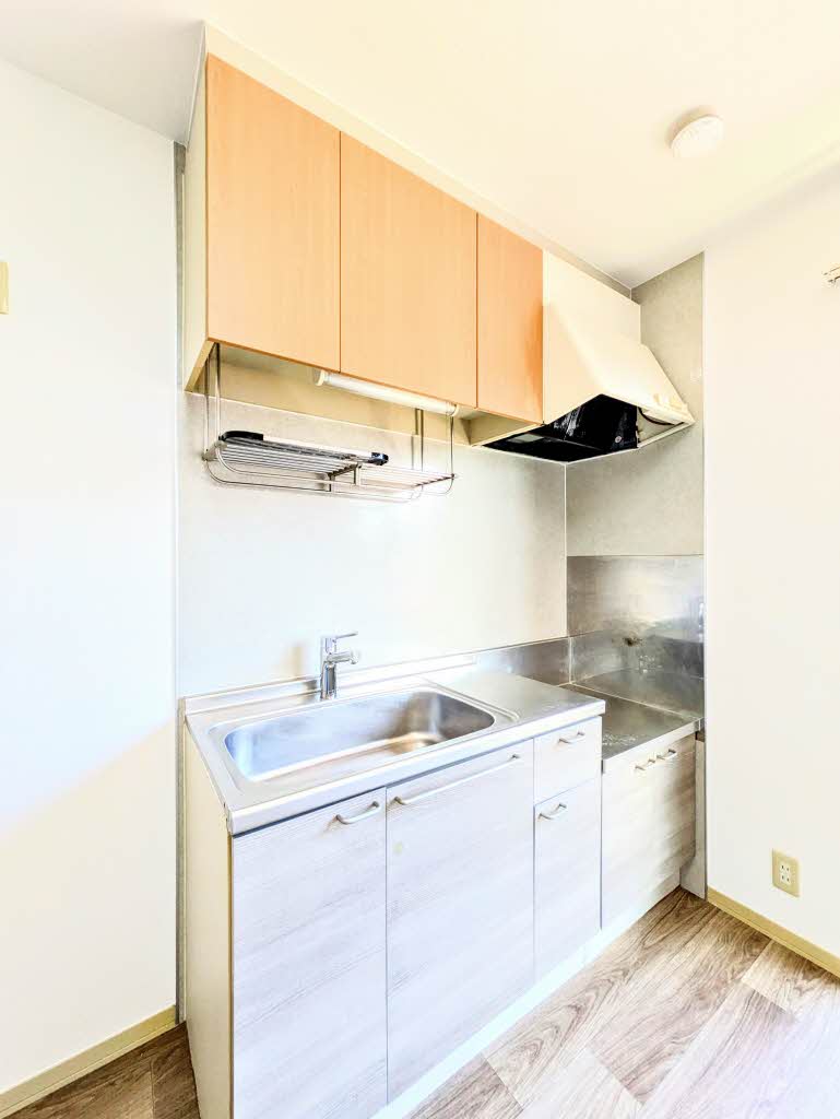 ディアスパルティール C棟 A0101号-3