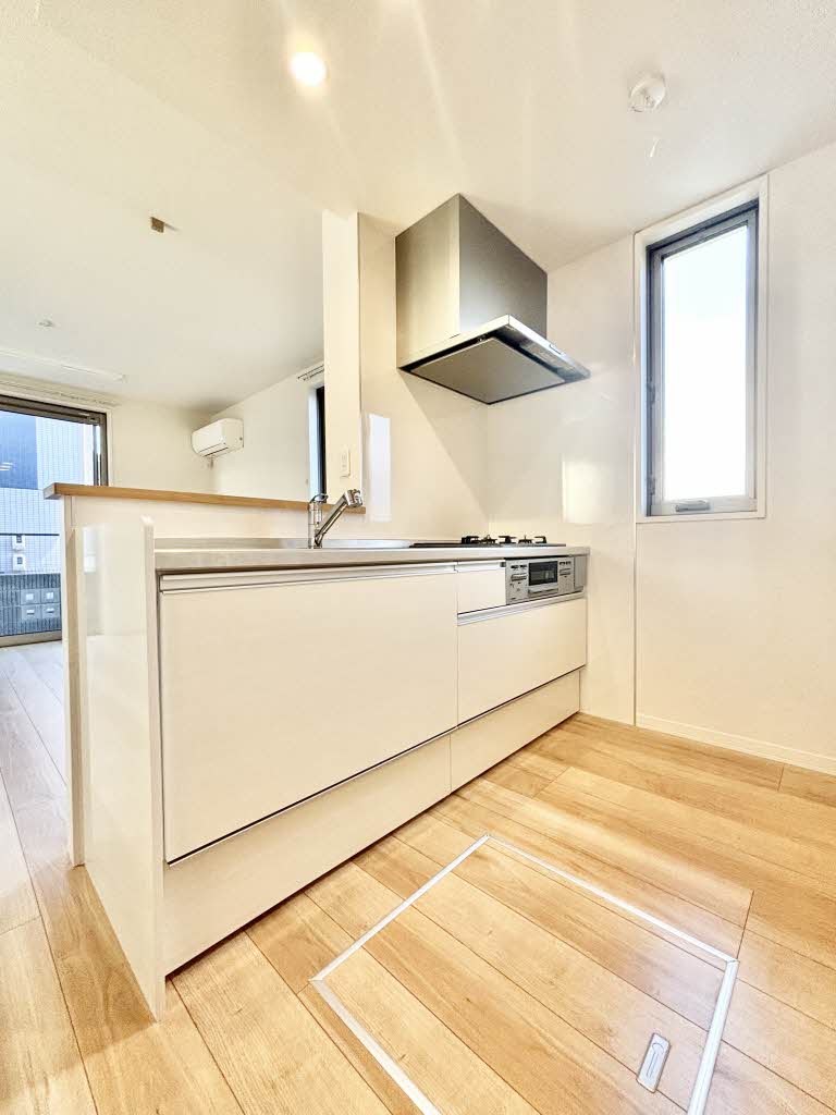 フェリシード A0105号-3