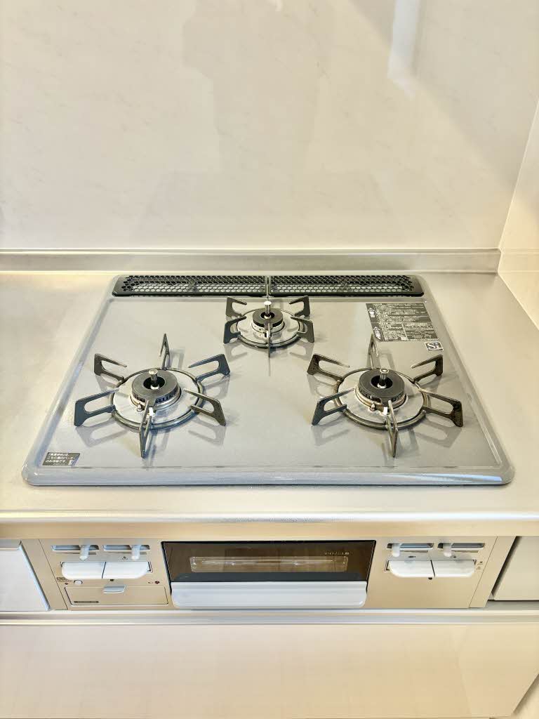 フェリシード A0105号-4