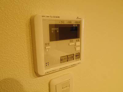 Ｆｏｒｅｓｔ　Ａｋｅｂｏｎｏ A0303号-11