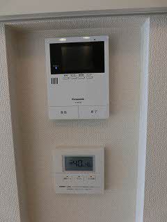 Ｏａｋ　Ｆｏｒｅｓｔ A0302号-14