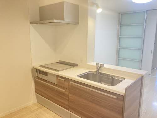 シャーメゾン　プルミエ A0101号-3