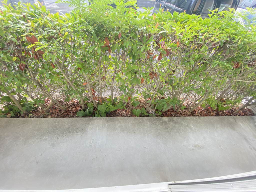 サニーベイル　１番館 A0101号-8