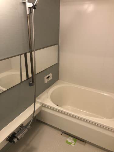 ヴィアソーレ妻鳥Ⅱ A0101号-11