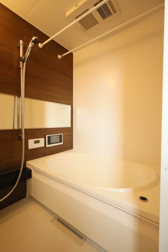 フェリシード　ピュ A0107号-9