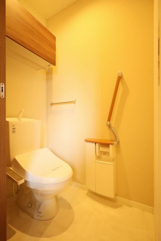 フェリシード　ピュ A0107号-11