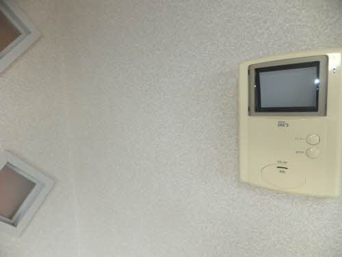 メゾン一林 A0202号-11