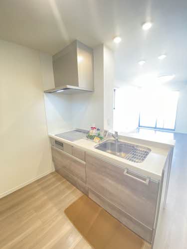 Ｌａｐａｉｘ栗林 301号-3