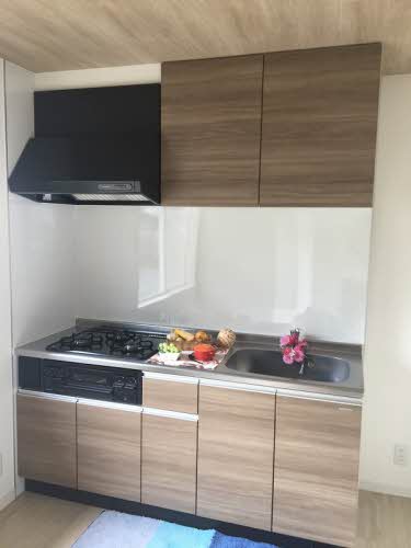 コートハウスコスモス　Ｃ棟 C0101号-4