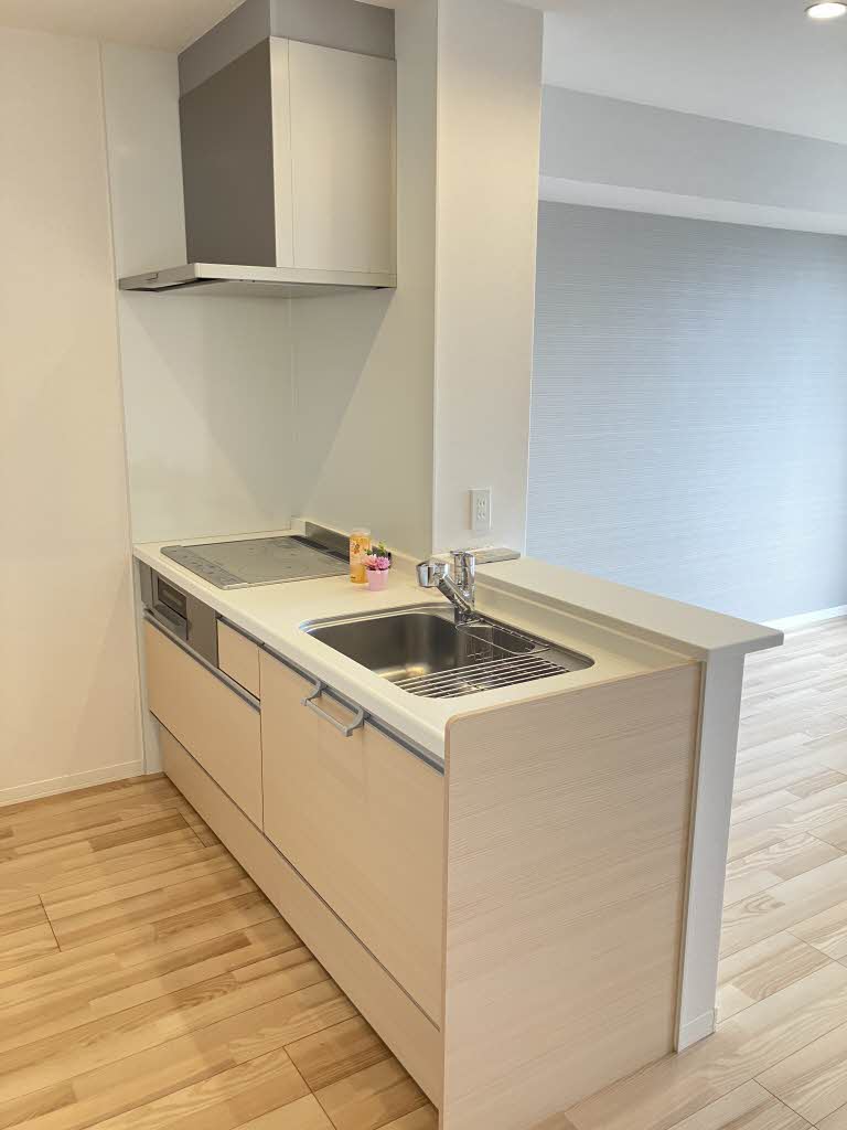 プロヌーブ林町 202号-3