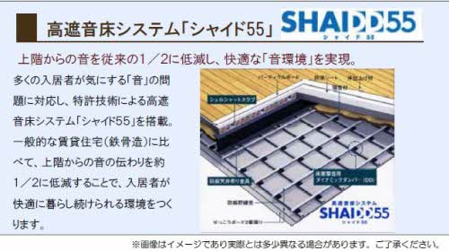 アヴィーロード今保 A棟 A0202号-11