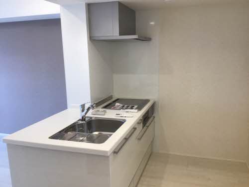 シャーメゾン　ブラウ A0202号-3