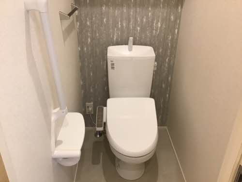 シャーメゾン　ブラウ A0202号-6