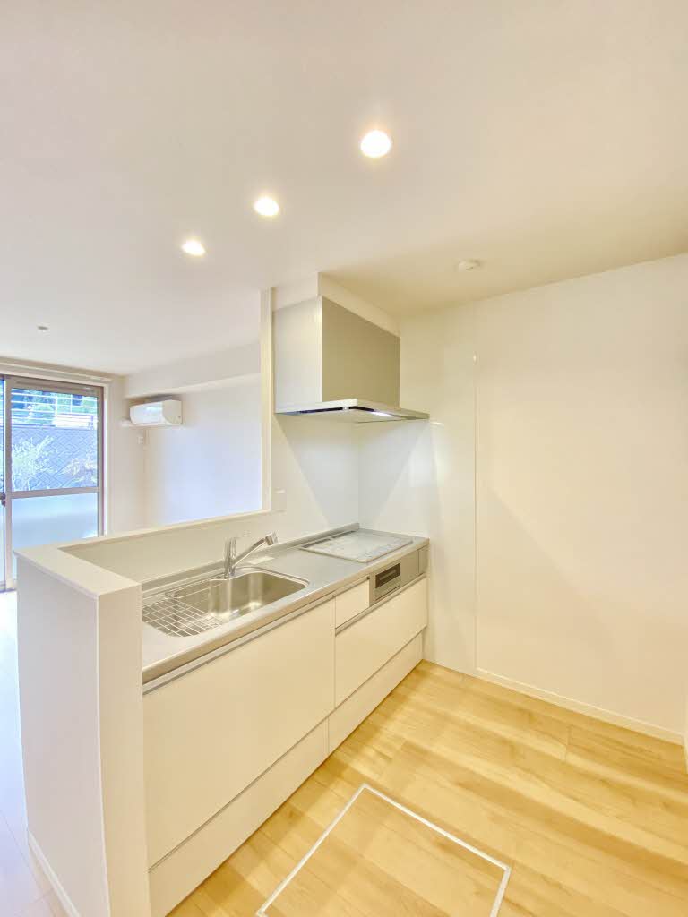 レジーナⅡ A0101号-3