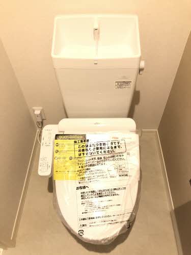 エイラント大福 A0305号-5