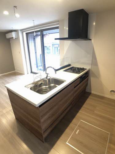 ヴィステリオ　プレミア A0106号-6