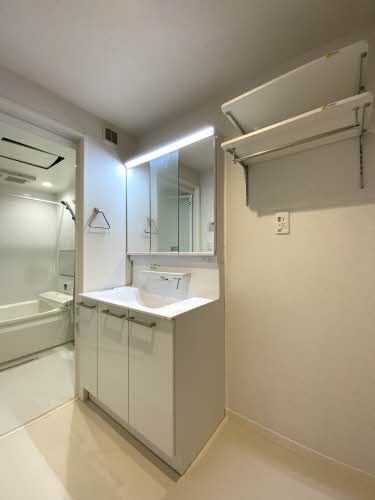 フェリシエール A0208号-8