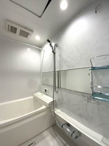 フェリシエール A0208号-9